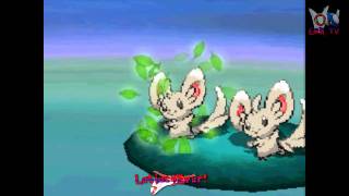 Pokémon White - Double Battles