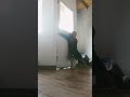 cuando tu mamá golpea tu puerta