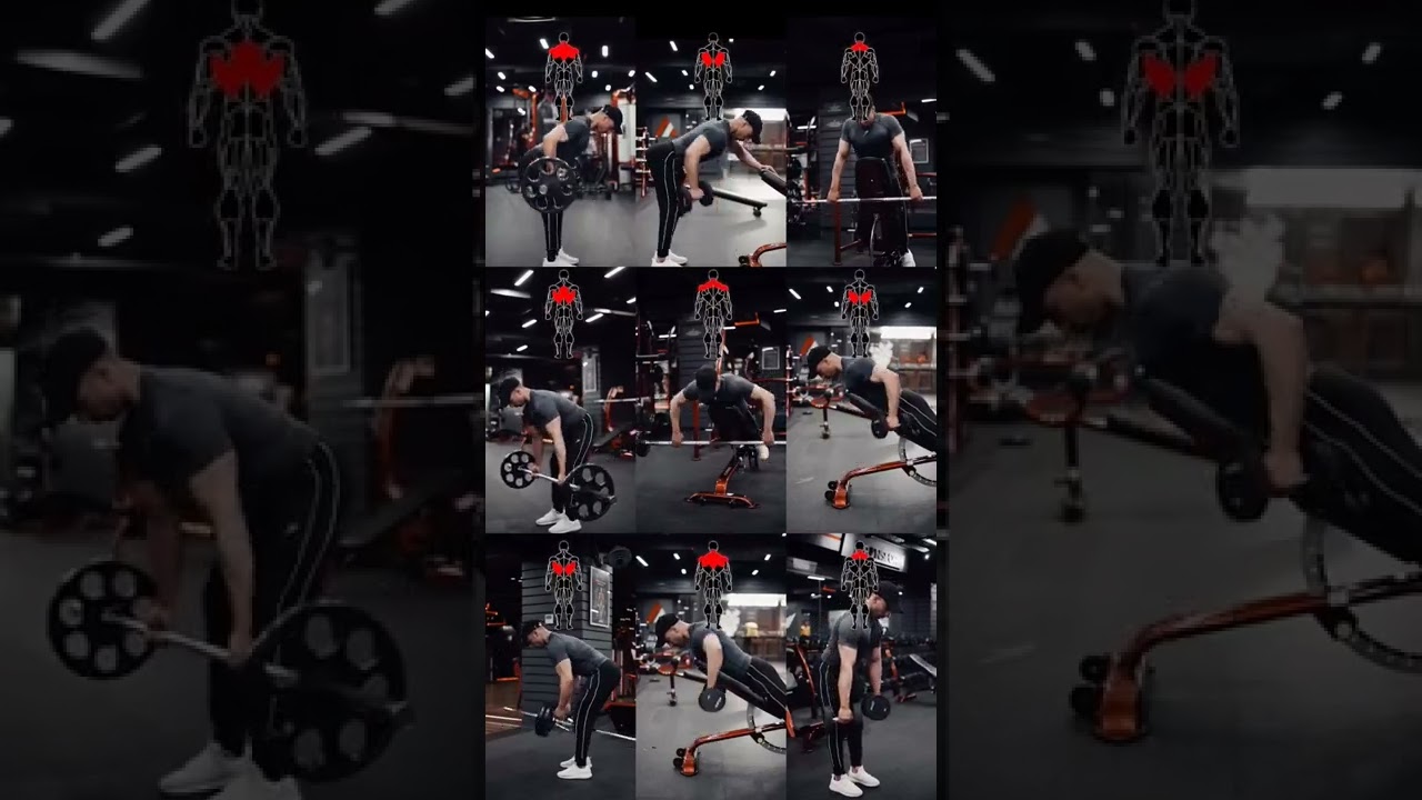  Back exercises library!