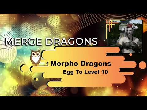 Morpho Dragons From Egg To Level 10 In Merge Dragons