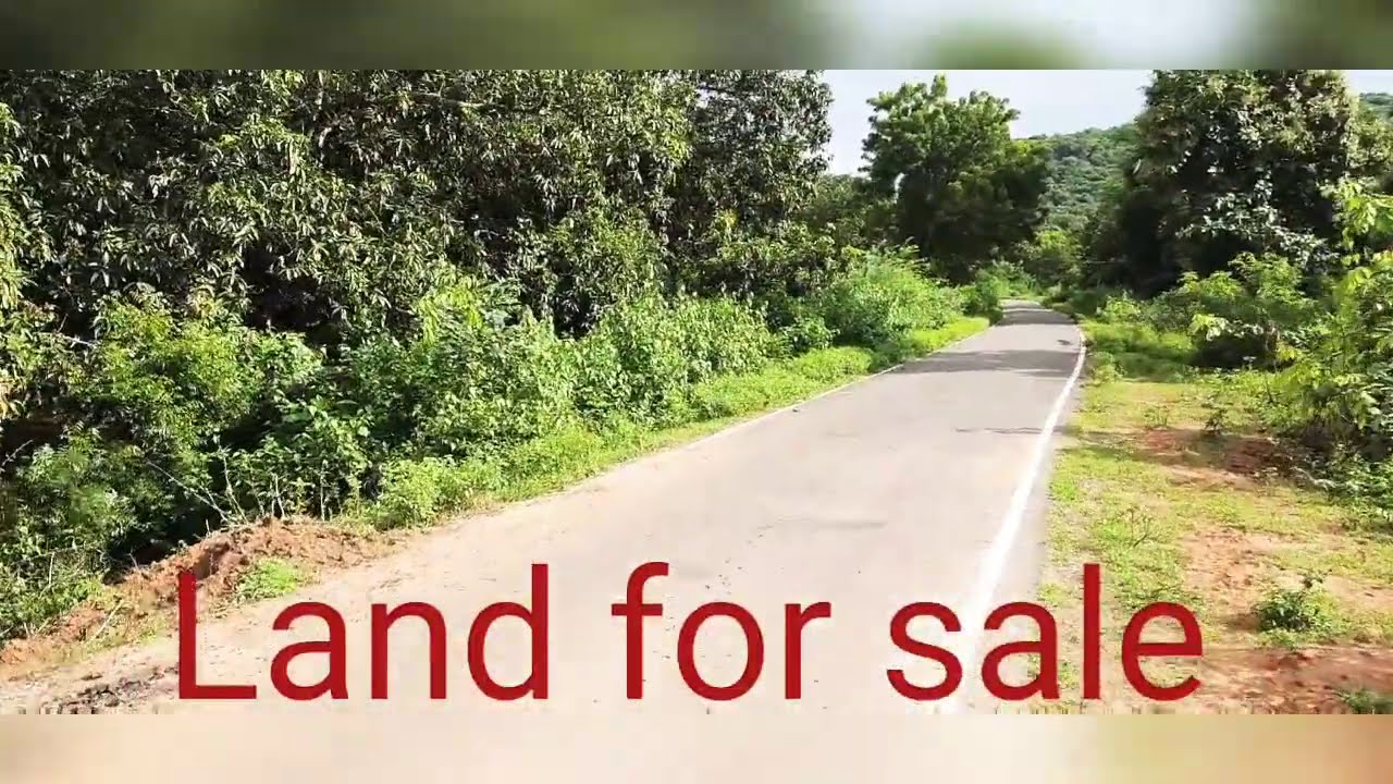 Land for sale, mango garden for sale, CMR Reality 9963046666 YouTube