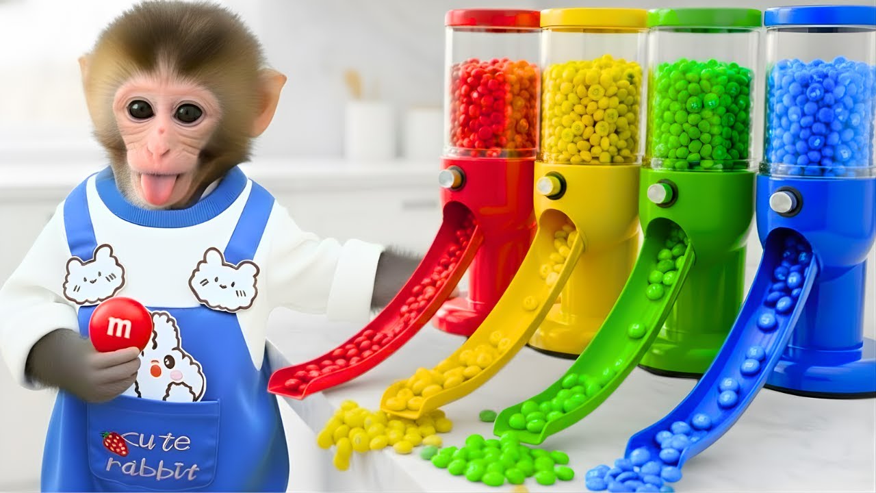 Cute Milo Monkey Builds an Amazing Rainbow MM Candy Machine with Colorful Slides
