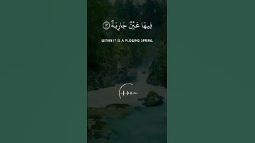 القارئ الشيخ خالد الجليل سورة الغاشية 🌷♥️
