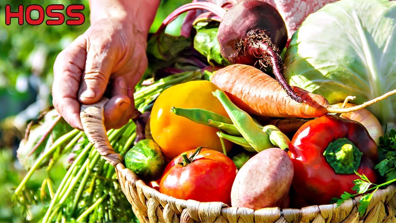 PLANNING A SUCCESSFUL VEGETABLE GARDEN -- SIMPLE TIPS FOR SUCCESS