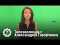 Телеэволюция с Александрой Говорченко