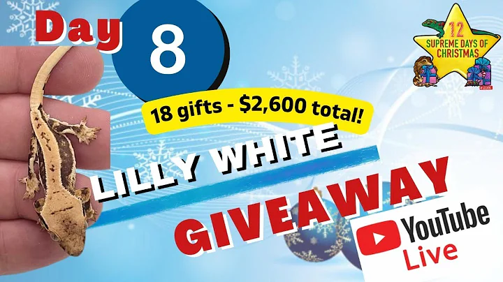 12 Supreme Days of Christmas   DAY 8 - LIVE GIVEAW...