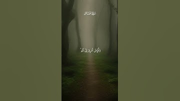 تلاوه هادئه من تلاوات القارئ عبدالباسط عبدالصمد من سوره غافر #عبدالباسط_عبدالصمد #تلاوة_خاشعة