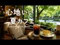 途中広告なし【カフェBGM】心地いい夏カフェ｜木漏れ日に癒される、ほっとする音楽｜作業用・読書・リラックス