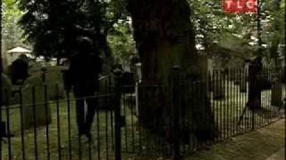 Understanding: Odds in Life