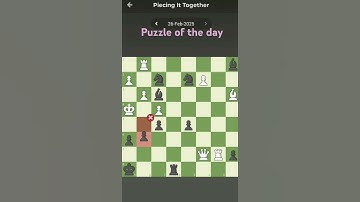 Day 24!!Puzzle of the day peicing together did one mistake but got solution #logicpuzzle #chess #win