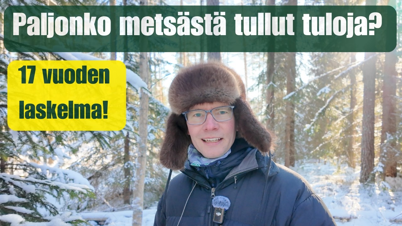Paljonko metsästä on tullut tuloja? 💶