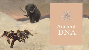 Ancient North Eurasian