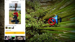 Video Editor for Android | കിടിലൻ മാജിക്‌ വീഡിയോ എഡിറ്റിംഗ് ആപ്പ് screenshot 3