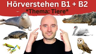 TESTE dein Niveau | Hörverstehen B1 + B2