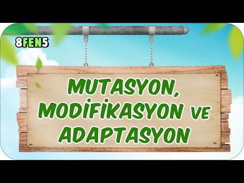 Mutasyon, Modifikasyon ve Adaptasyon 📗 tonguçCUP 1.Sezon - 8FEN5 #2024LGS