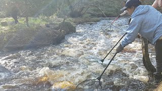 Take fish in Finland มาตักปลาคลองกันค่ะพี่น้อง screenshot 2