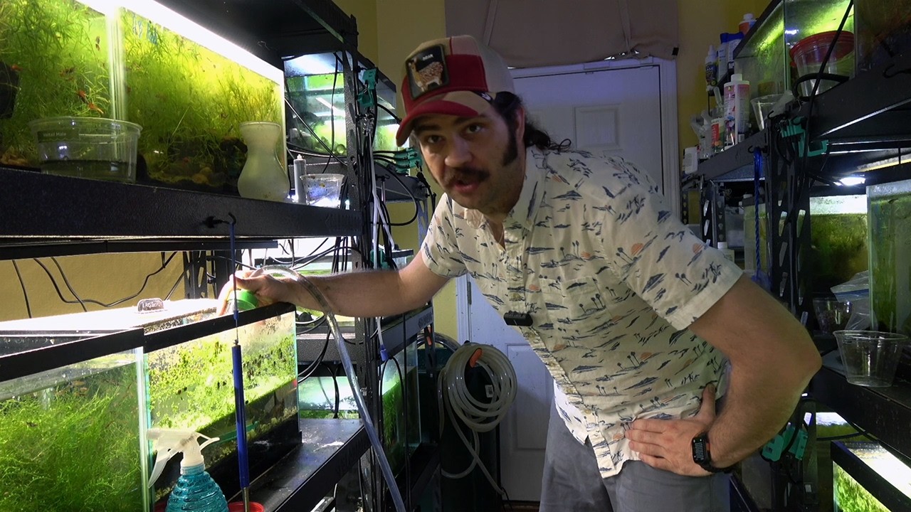 The Governor's Fishroom (from Walking Dead)
