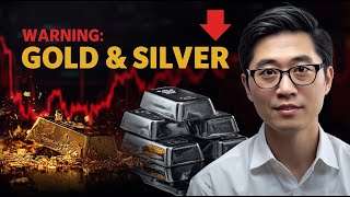 WARNING: Gold & Silver Could Crash After 2026 | Avi Gilburt Shock Prediction