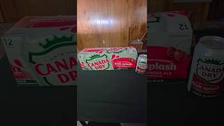 "Ginger Ale Fruit Splash Soda! Have you tried it yet?Drop a comment and let me know what you think!" screenshot 5