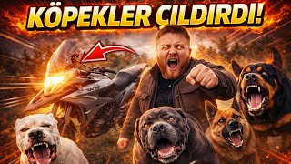 YENİ EFSANE MOTOR DAĞ CANAVARI KÖPEKLER GÖRÜNCE ÇILDIRDI! 