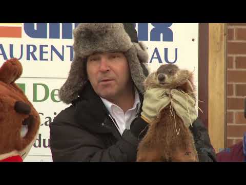 Vidéo: La Marmotte Américaine Prédit Plus D'hiver