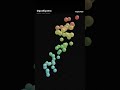 Inside AlphaFold: 50 Years of Biology in a Weekend