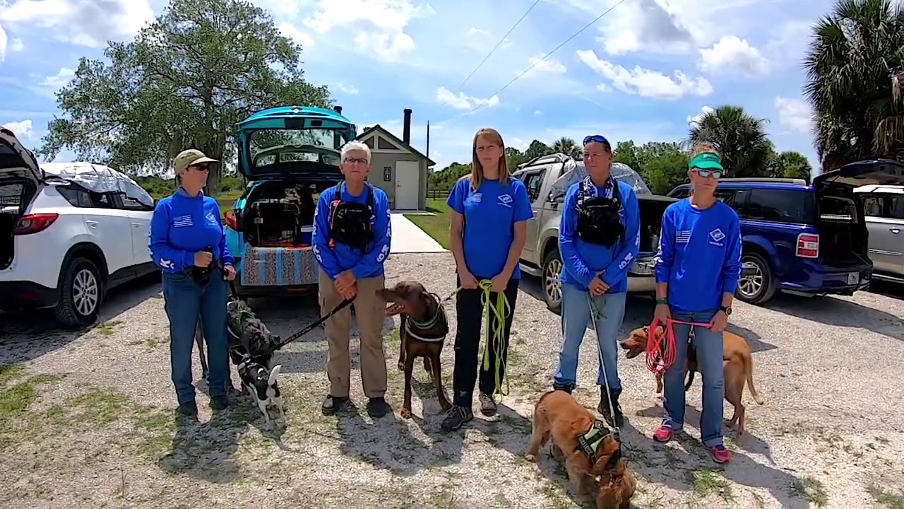 Fox 13 Tampa Bay PRSAR K9 Search and Rescue Pkg YouTube