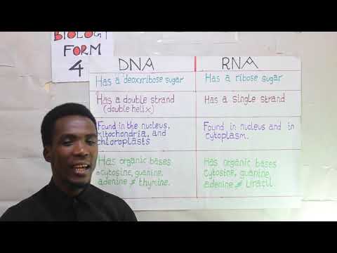 BIOLOGY.F4GENETICS. DIFFERENCE  BTN DNA AND RNA