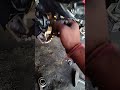TVS Apache full servicing🏍️🏍️🏍️🛠️ #youtubeshorts #motorcycle #ytshorts #viralvideo #shortvideo #tvs