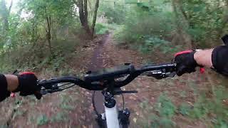 2026 08 14 The Local 720x120fps EIS