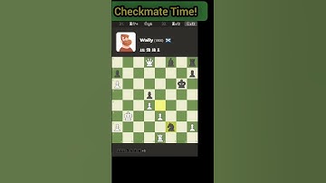Chess.com Wally checkmate