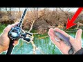 Surprise GIANT Catch Fishing a BIG Swimbait in a Pond!!! (Jon Boat Fishing)