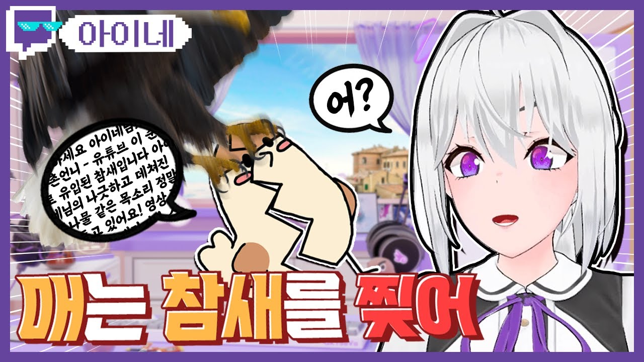 매는 참새를 찢어! | 트위치 클립 일일 하이라이트 | 클립라이트