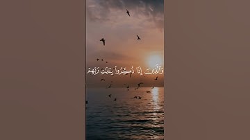 والذين لا يشهدون الزور محمد اللحيدان #قران_كريم #قرآن #محمد_اللحيدان #سورة_الفرقان
