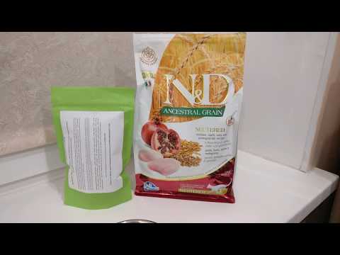 Эксперимент корма Farmina vs Alleva