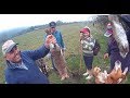 Caza De Conejos Quinta De Morza 2018 | Conejeando |  Rabbit hunting with Beagle Documental