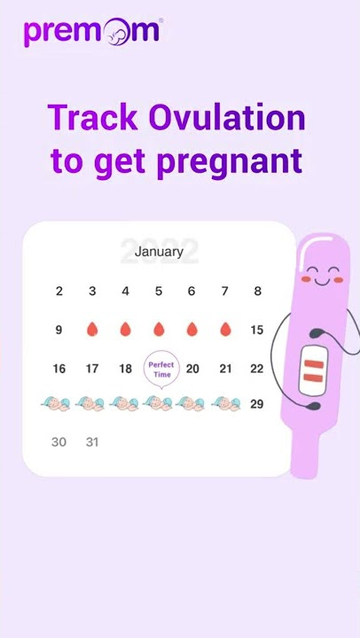 Menstrual Cycle & Fertility Calculator