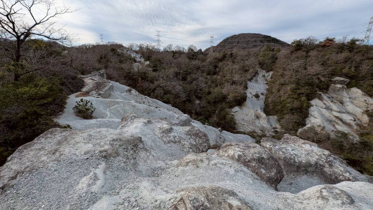 【ソロ登山】屯鶴峯　2026年1月21日