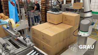 Collaborative palletizing robots