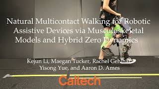 Natural Multicontact Walking via Musculoskeletal Models on AMPRO3