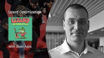 Gojko Adzic - Lizard Optimization