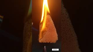 Watch Sponge Burn video