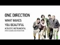 One Direction - What Makes You Beautiful (Acoustic Instrumental)