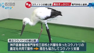 医療専門学校との連携協定　兵庫県立コウノトリの郷公園