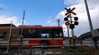バスが踏切を通る不思議な光景...。
