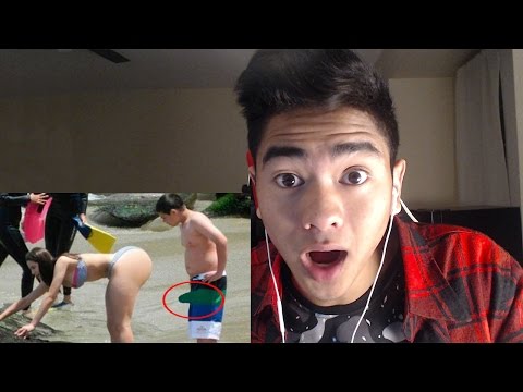 TRY NOT TO LAUGH CHALLENGE!! (IMPOSSIBLE) - TRY NOT TO LAUGH CHALLENGE!! (IMPOSSIBLE)