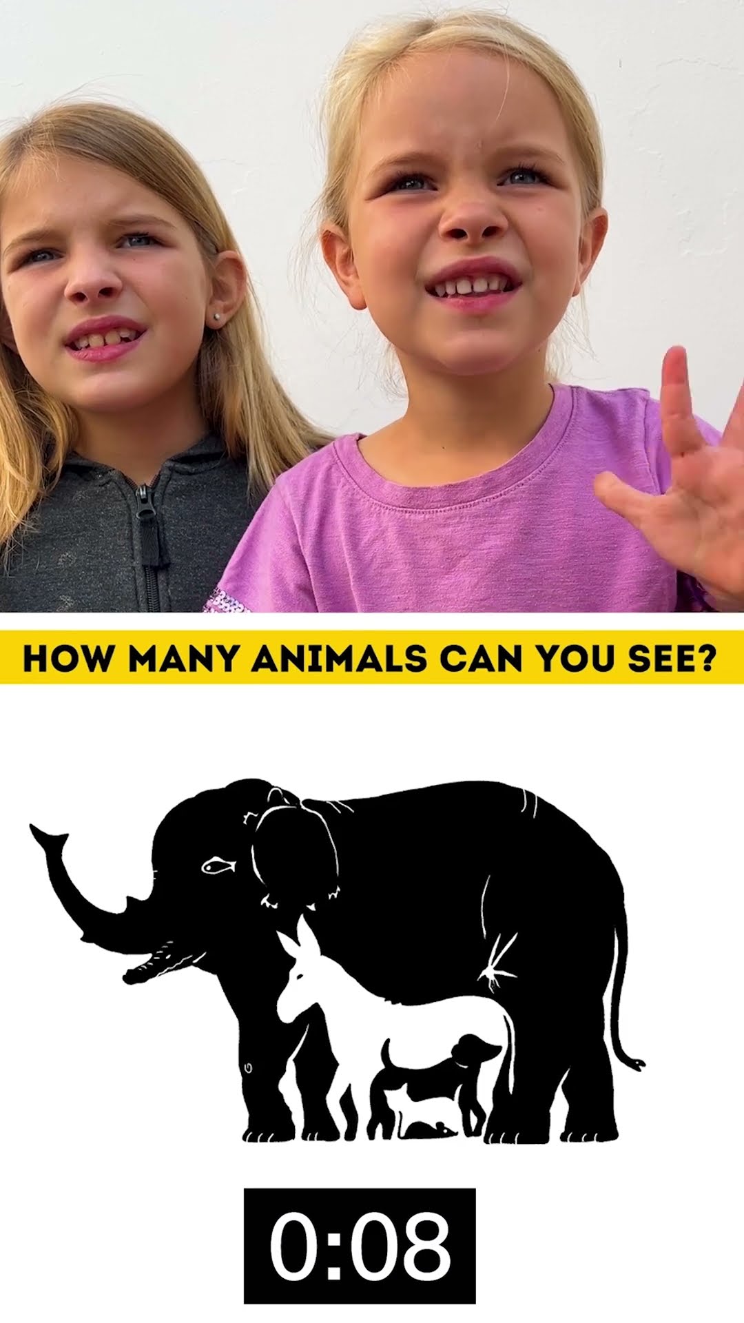 How many animals do you see?!