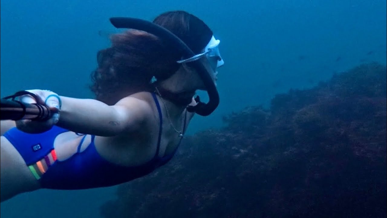 🌴 제주 다이빙 여행 두 번째 이야기 / 법환포구, 서귀포항 동방파제, 졸린 수영복, 졸린 개빈 클리어워터, 트루다이브, 알케미, 브랑키아, 인스타360, 제주 프리다이빙