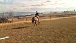 Echo Jumping 1
