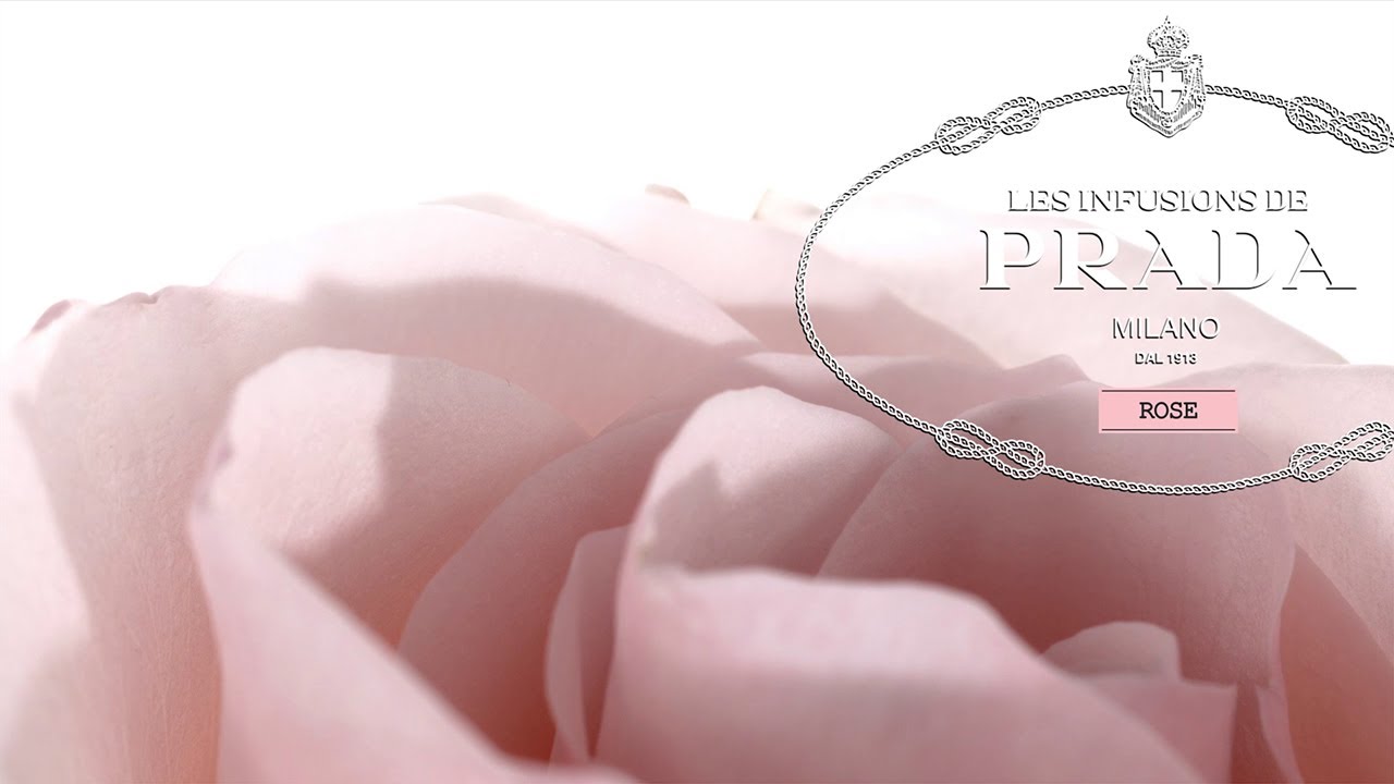 Infusion Rose - Les Infusions de Prada - YouTube